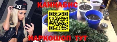 шишки Пушкино