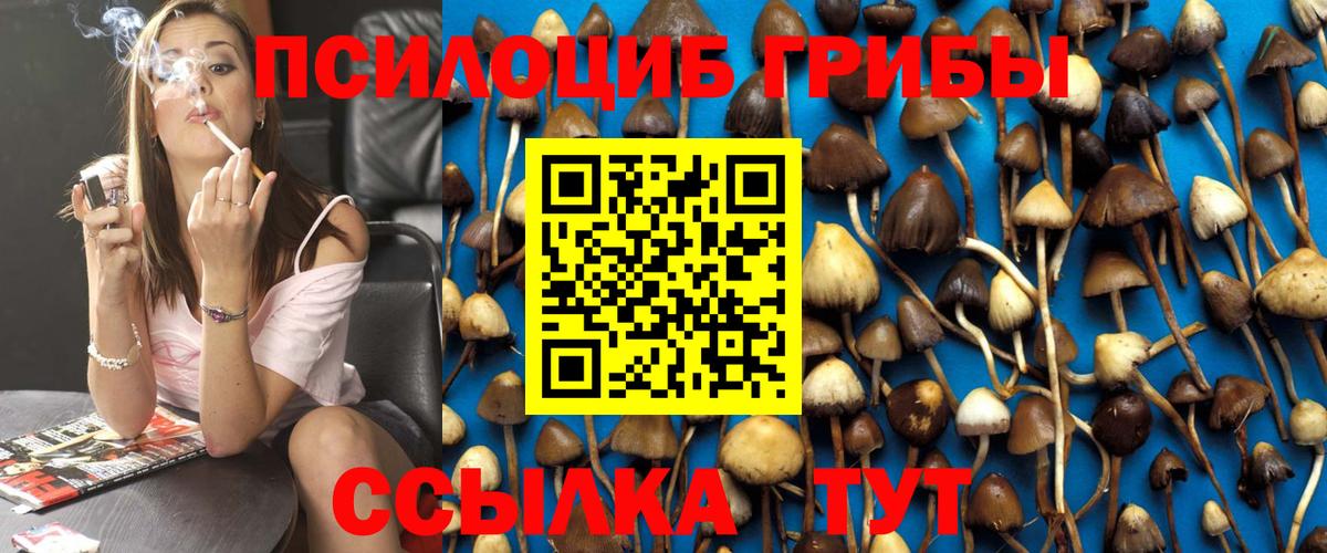 Псилоцибиновые грибы Psilocybine cubensis Саянск