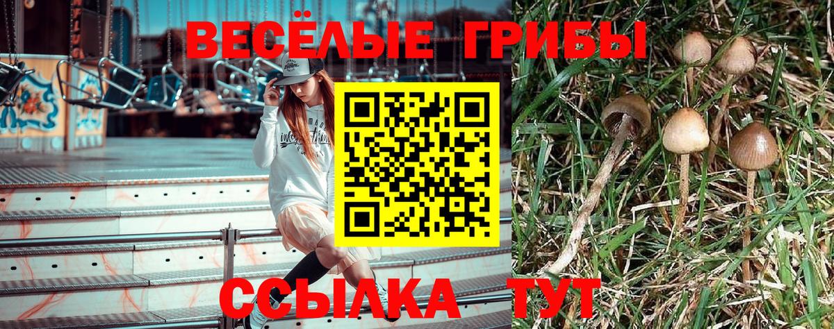 Галлюциногенные грибы ЛСД  Галлюциногенные грибы Psilocybe  Саянск  Вход с VPN 